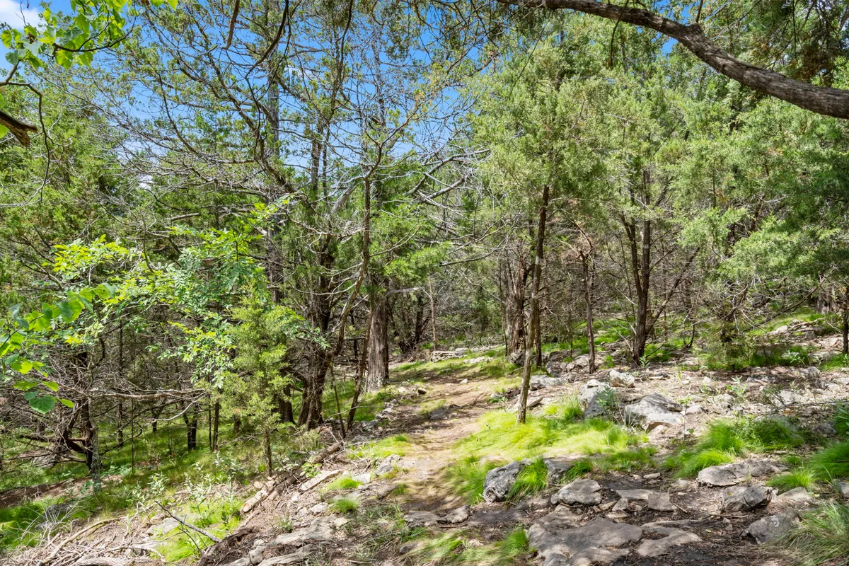 A tranquil, tree-lined pathway winding through lush green foliage and natural rock formations. The scene suggests easy access to nature trails, ideal for morning strolls and nature walks with a dog.